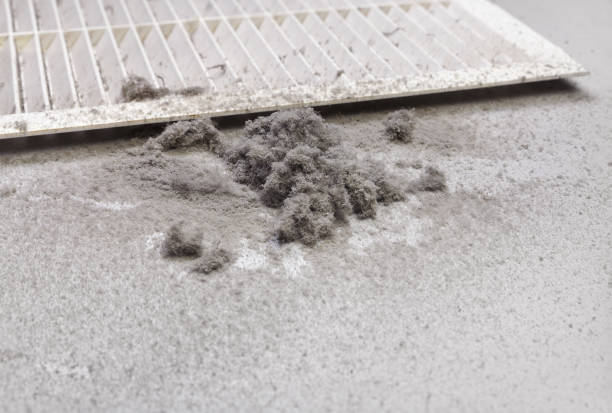 Best Ventilation Cleaning Services  in Eastman, GA