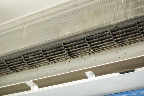 Best Air Vent Cleaning Services  in Eastman, GA